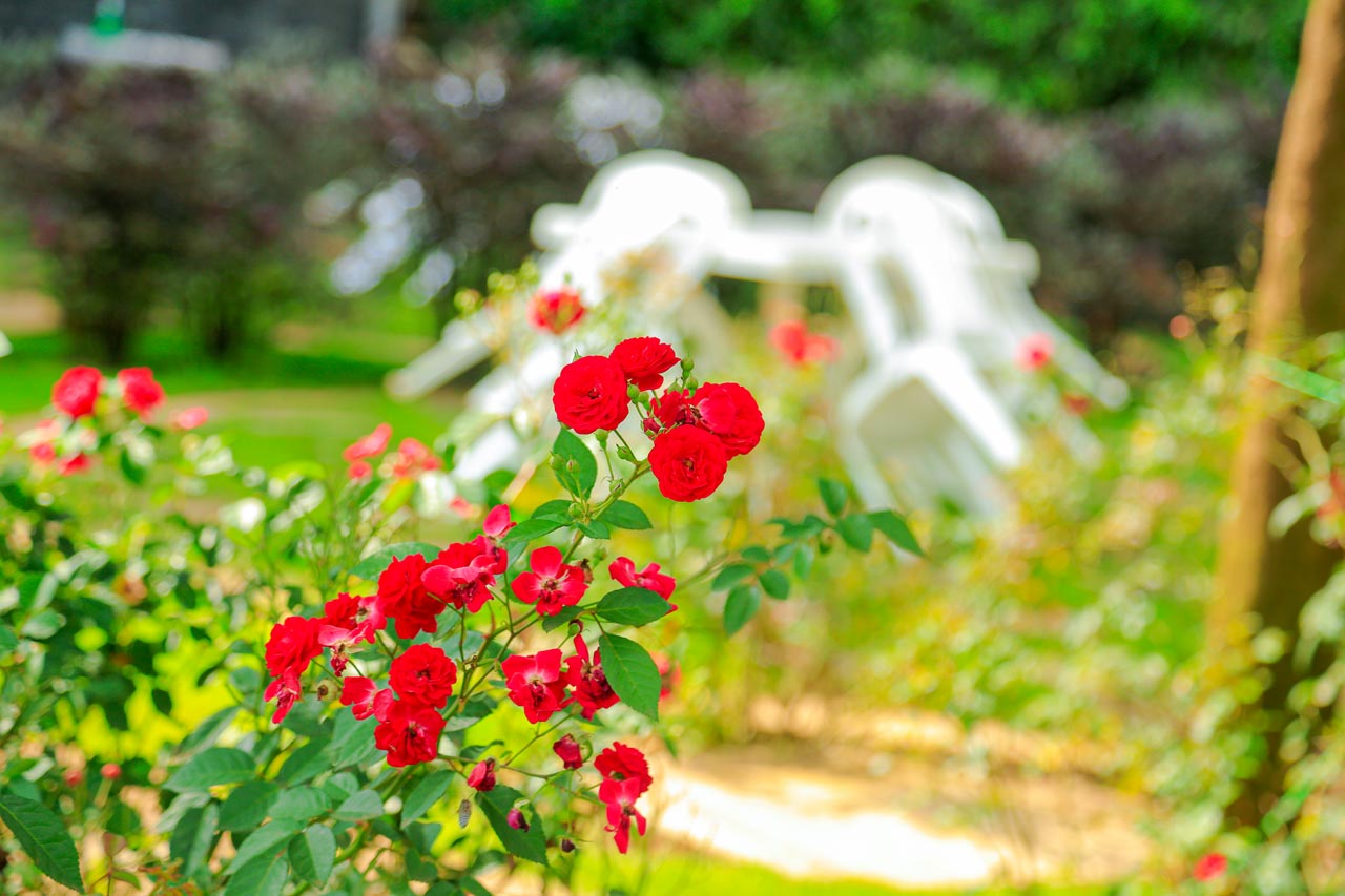 Winmond Hotel Gardens in bloom